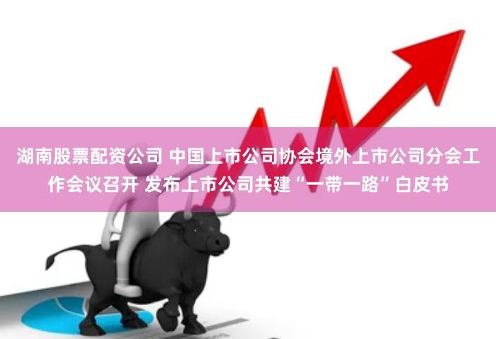 湖南股票配资公司 中国上市公司协会境外上市公司分会工作会议召开 发布上市公司共建“一带一路”白皮书