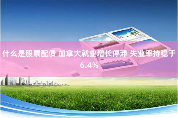 什么是股票配债 加拿大就业增长停滞 失业率持稳于6.4%