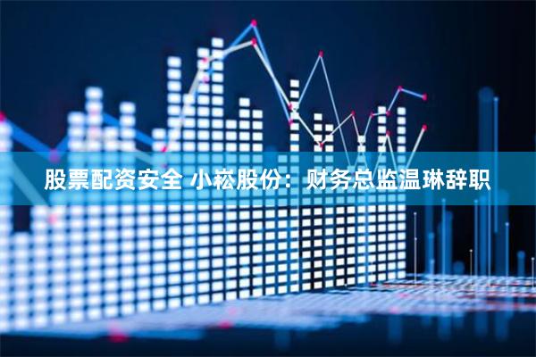 股票配资安全 小崧股份：财务总监温琳辞职
