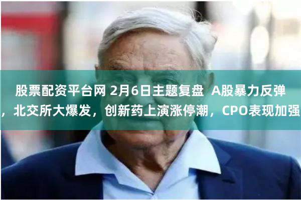 股票配资平台网 2月6日主题复盘  A股暴力反弹，北交所大爆发，创新药上演涨停潮，CPO表现加强