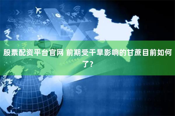 股票配资平台官网 前期受干旱影响的甘蔗目前如何了？